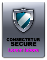 SECURE  Lorem labore CONSECTETUR